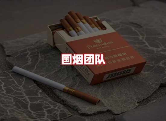 国烟团队